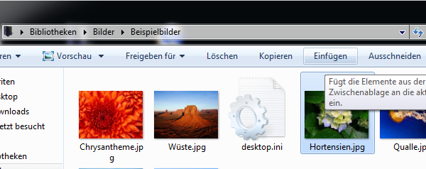 Datei:Explorer-copy1.png