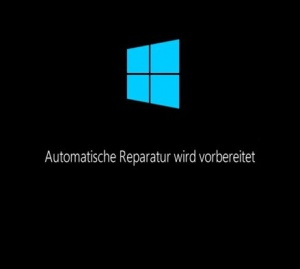 Automatische-reparatur-deaktivieren-windows-8.1-3.jpg