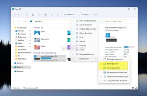 Vorschaufenster und Detailbereich im Datei Explorer Windows 11.jpg