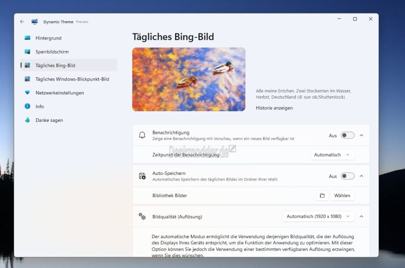 Datei:Dynamic Theme.jpg